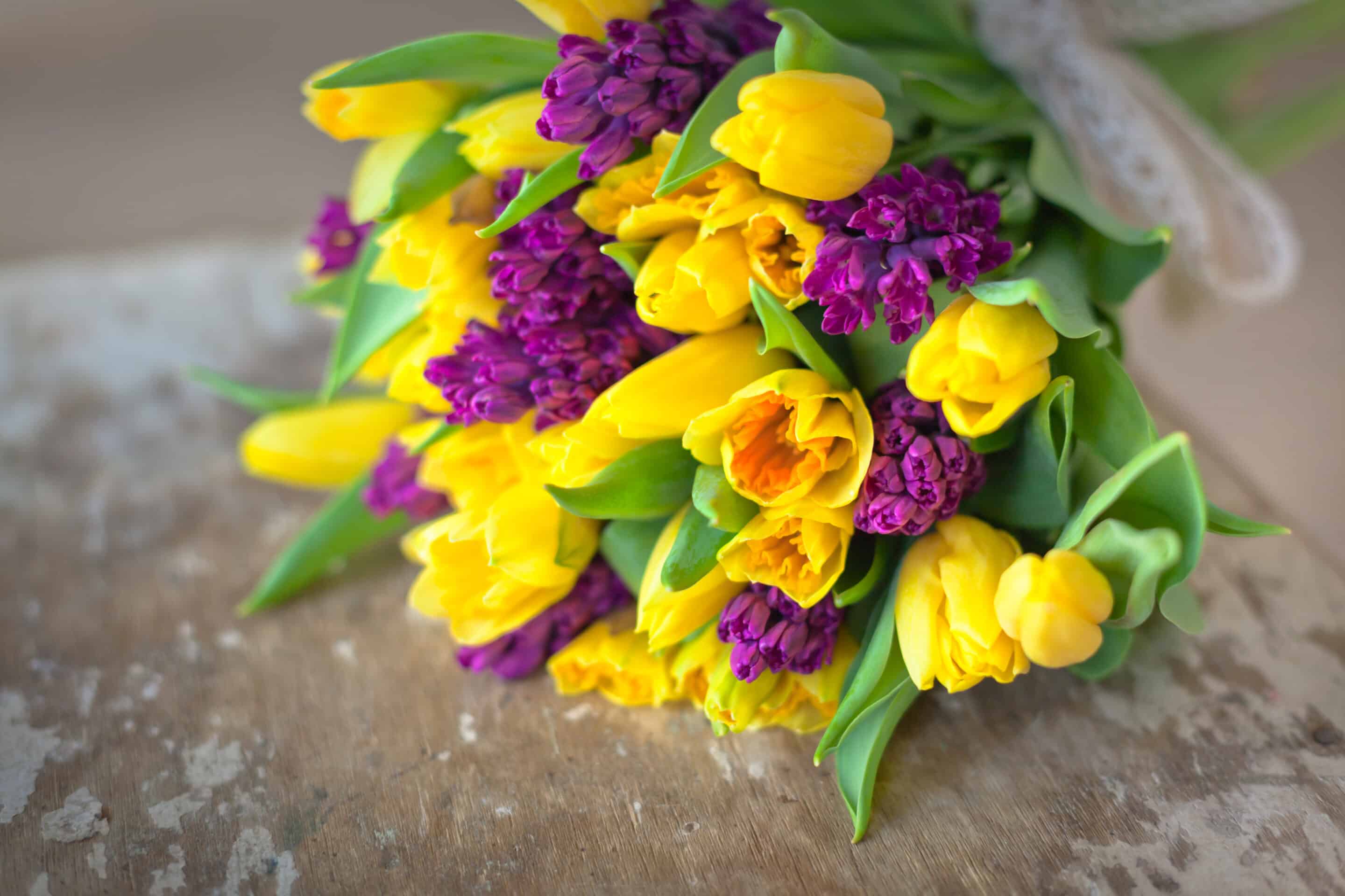 Yellow tulips and purple hyacinths flowers bouquet
